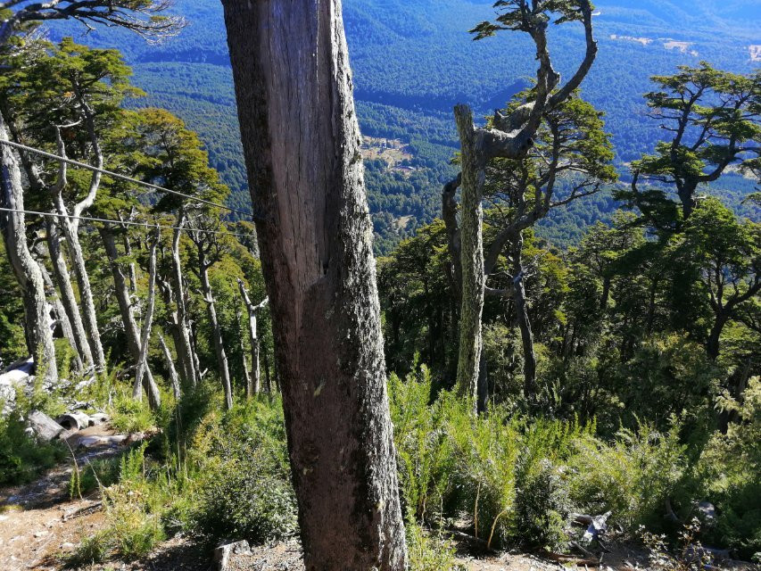 Teleferico Condor Andino-耐尔杜美必去景点