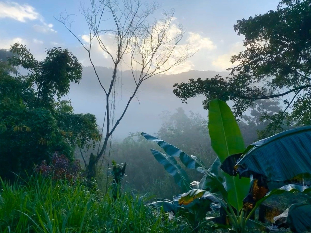 Portland's Riverside Retreat主图