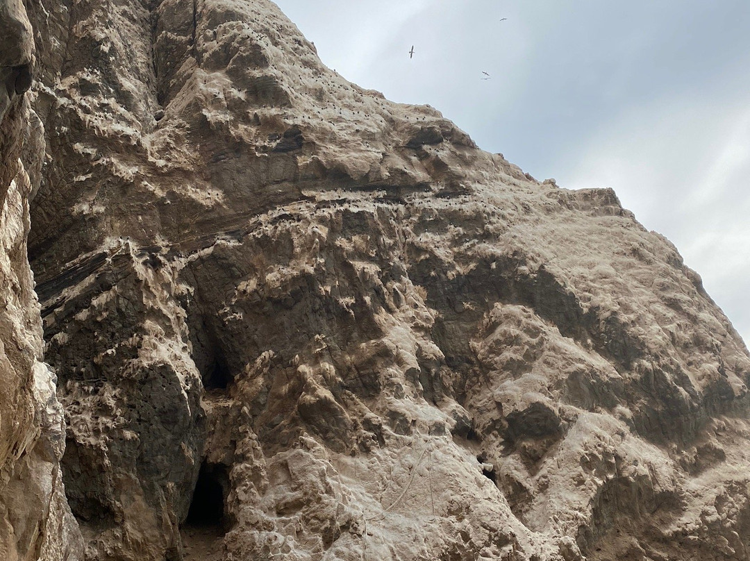 Cuevas de Anzota-阿里卡必去景点