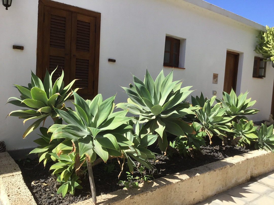 Hotel Rural El Navio - Only Adults主图