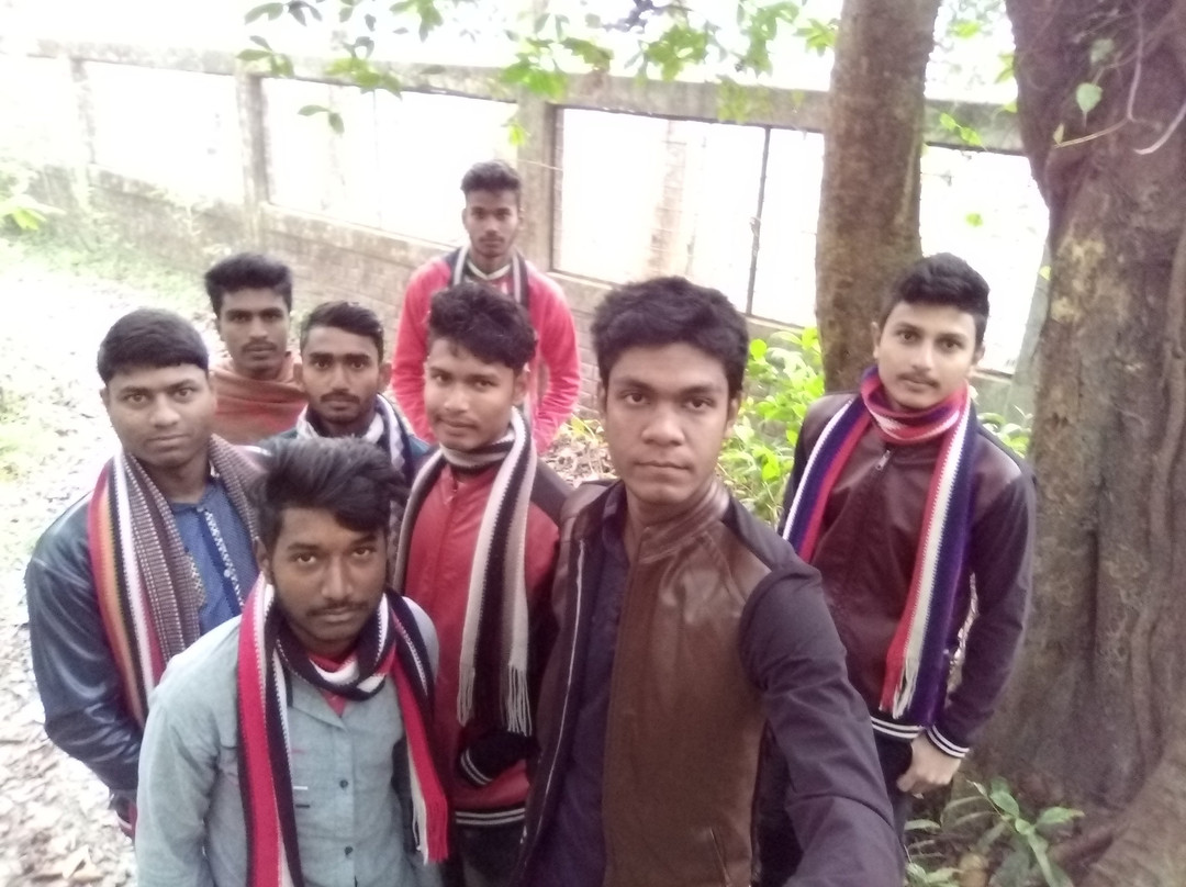 Madhupur National Park景点图片