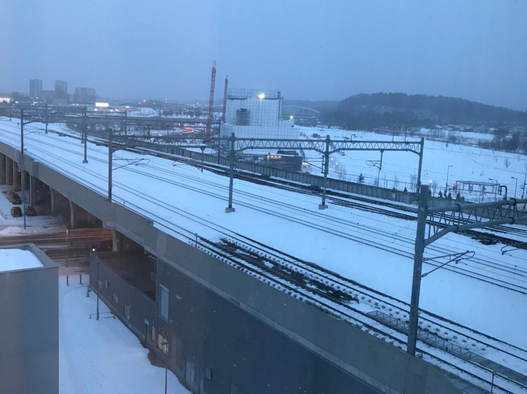 Y's Hotel Asahikawa-Ekimae主图