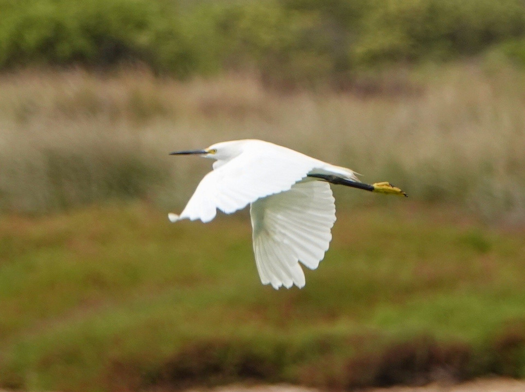 El Yali National Reserve-Santo Domingo必去景点