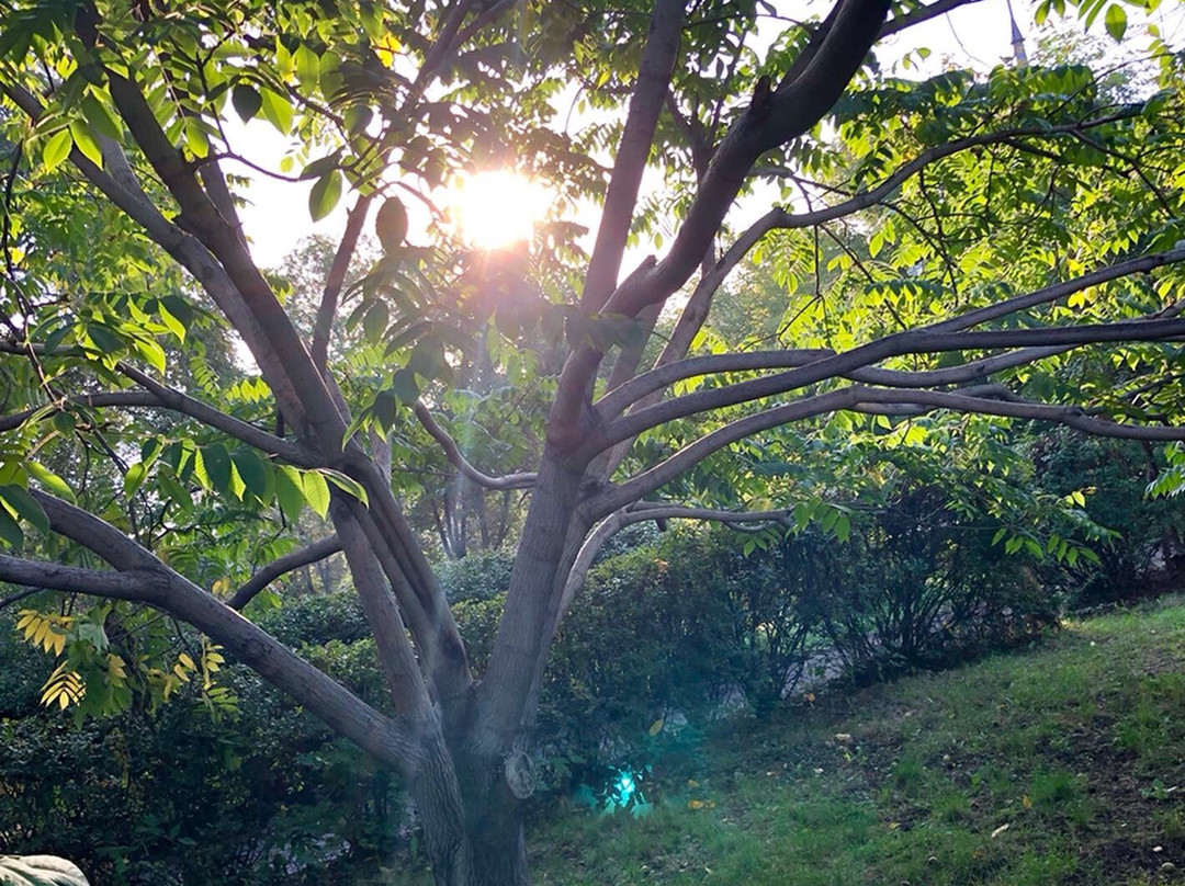 Yahont Park-Hotel主图