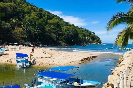 Pata Salada Tours-瓦拉塔港必去景点