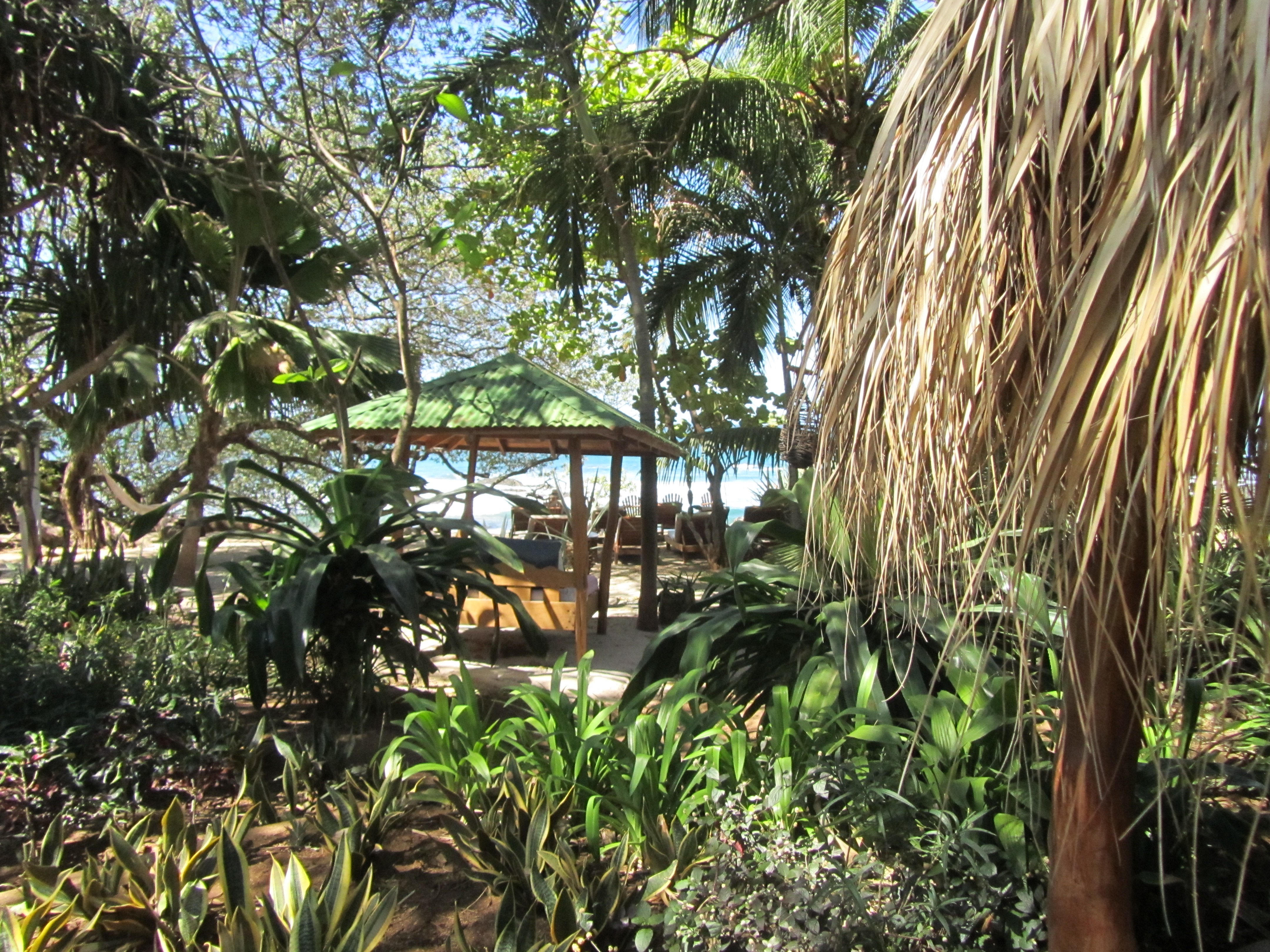 Sueno del Mar Beachfront Bed & Breakfast-浴室