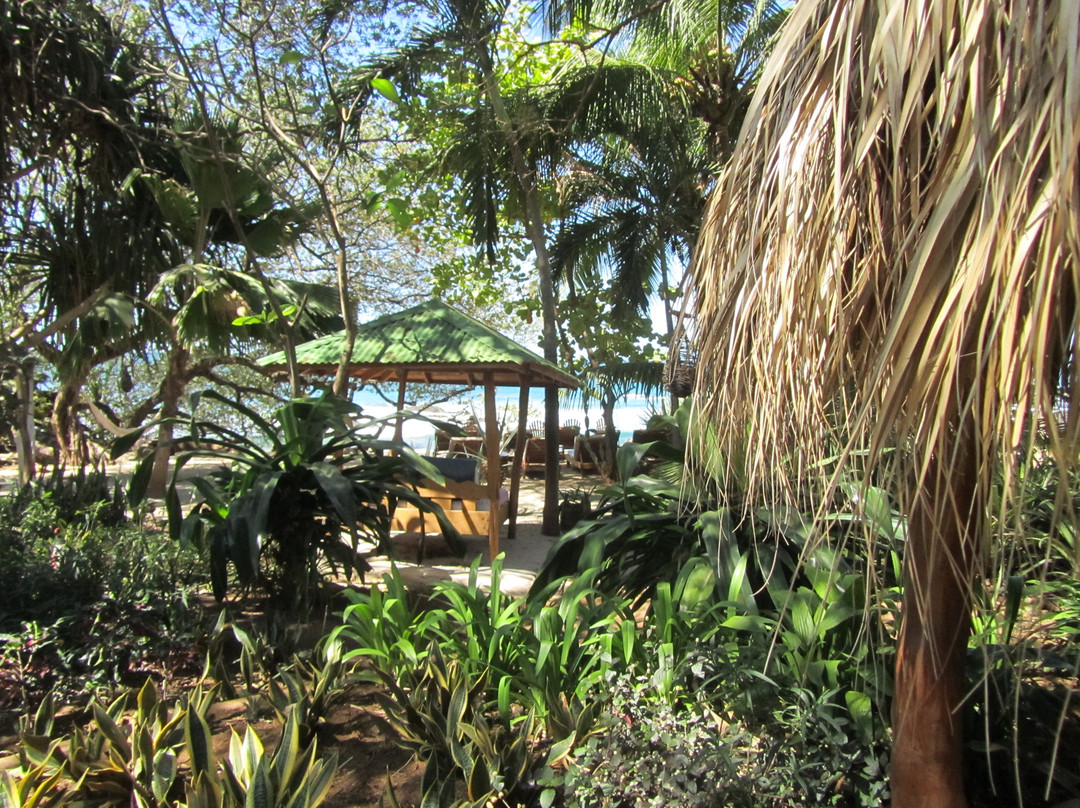 Sueno del Mar Beachfront Bed & Breakfast主图