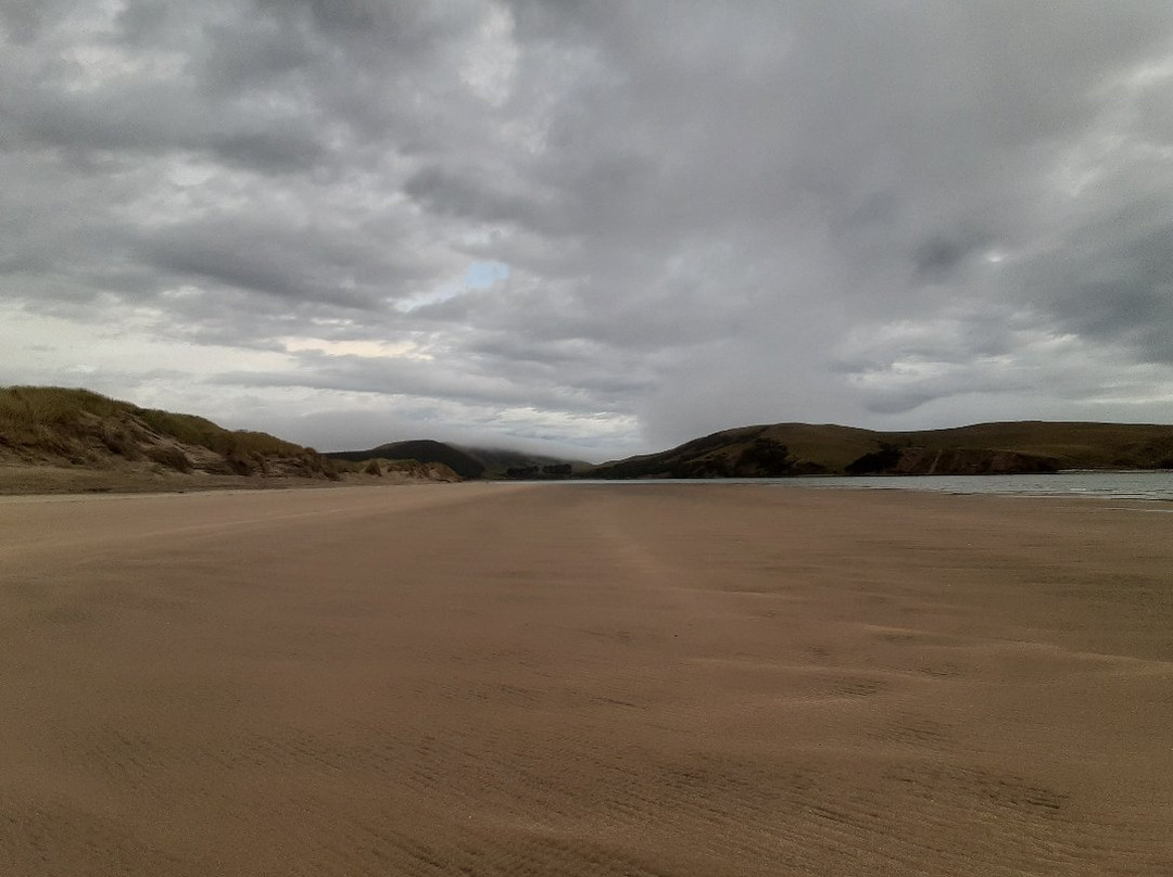 Porpoise Bay-Curio Bay必去景点