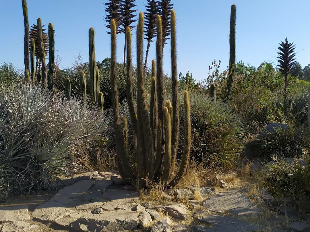 Jardín botanico de la Universidad de Talca-塔尔卡必去景点