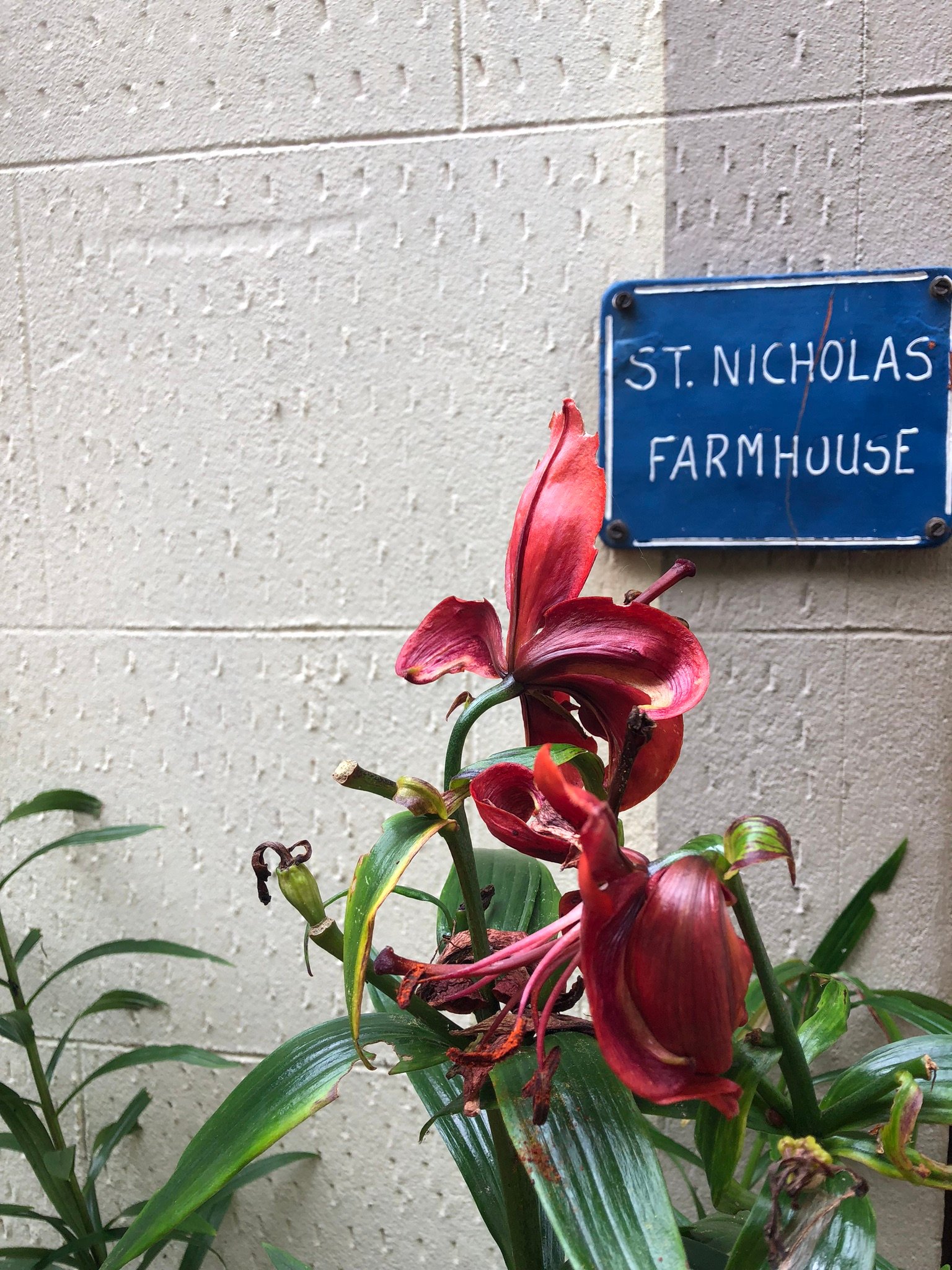St. Nicholas Farmhouse B&B-浴室