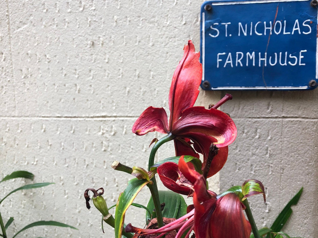 St. Nicholas Farmhouse B&B主图