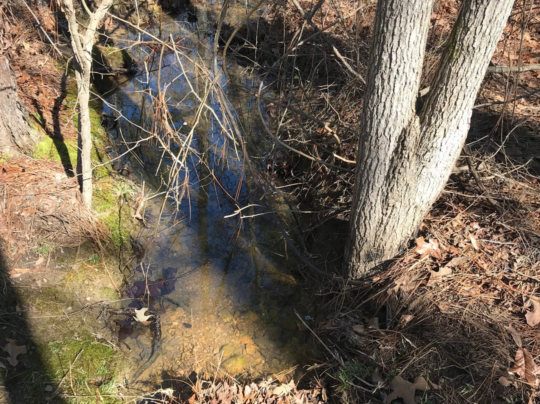 Harbison State Forest-哥伦比亚必去景点