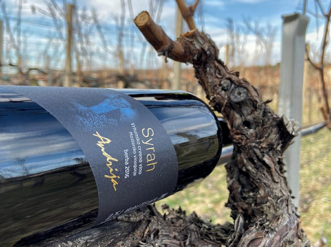 Andrija Wine Cellars景点图片