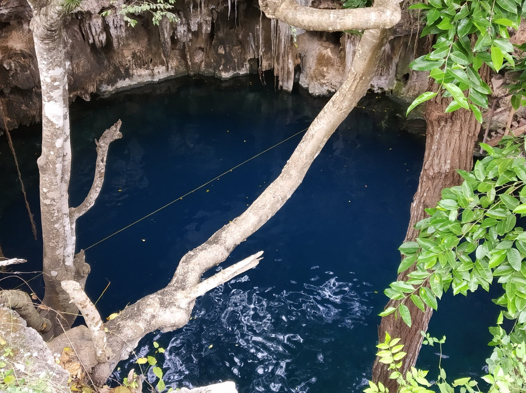 Cenote Yaal Utzil-Mucuyche必去景点