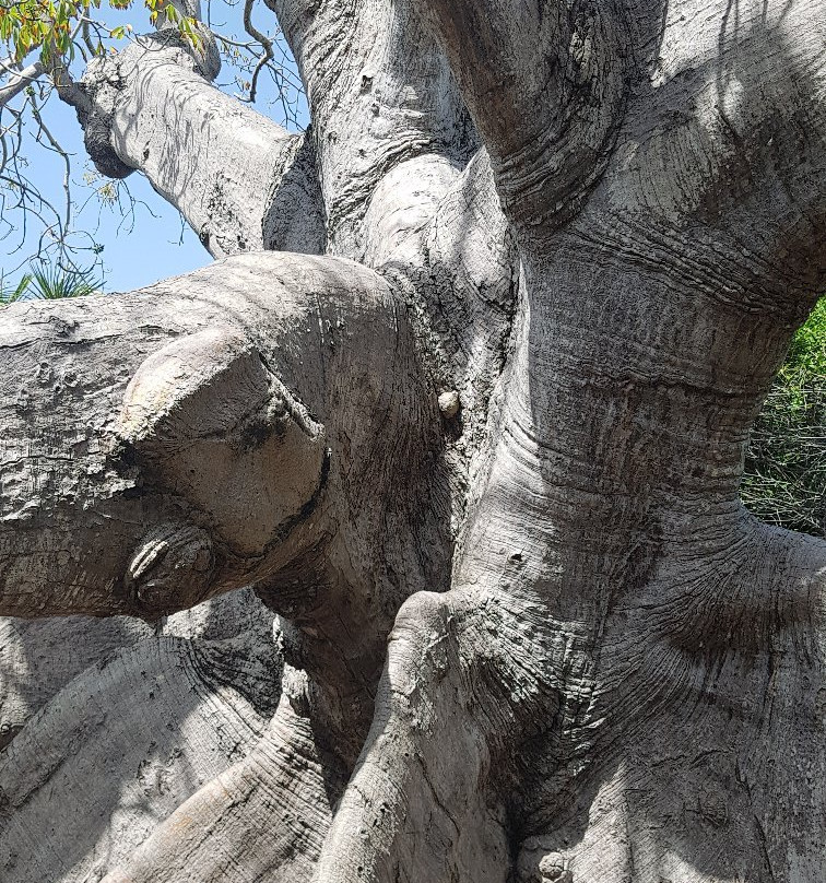 Hofi Pastor-Barber必去景点