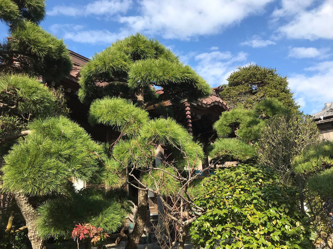 Daigyo-ji Temple-镰仓市必去景点