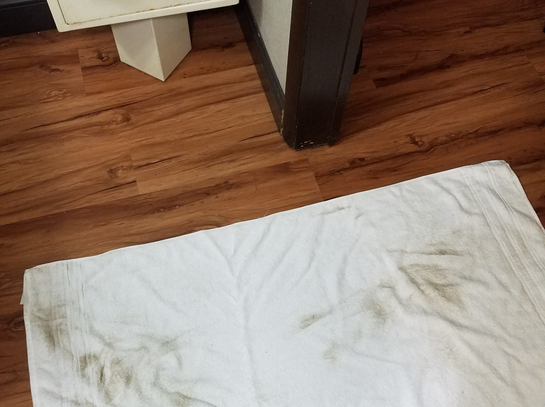 Super 8 by Wyndham Kingsport主图