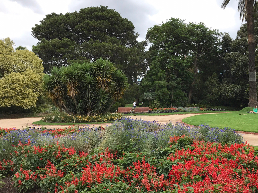 St Kilda Botanical Gardens景点图片