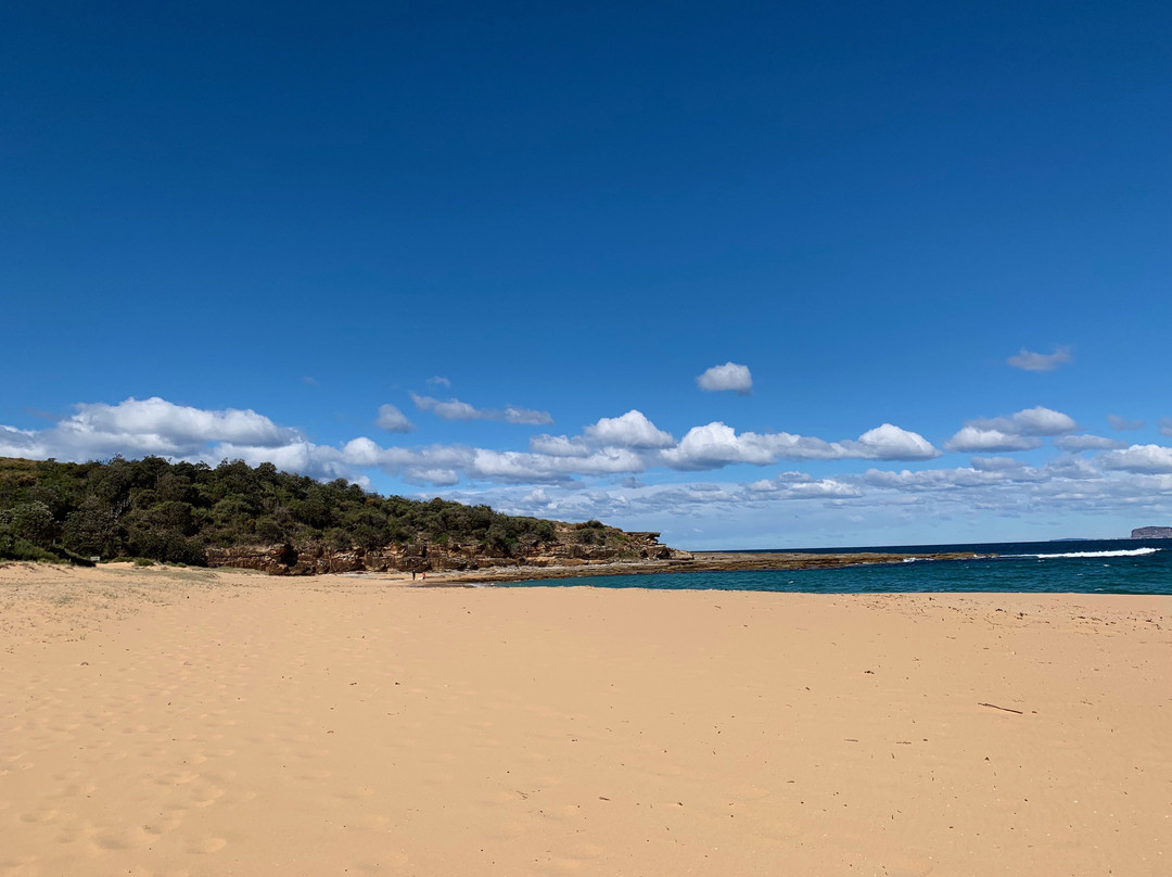 Bouddi National Park景点图片