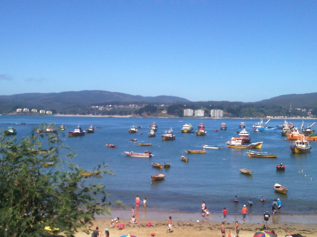 Coliumo-Tome必去景点