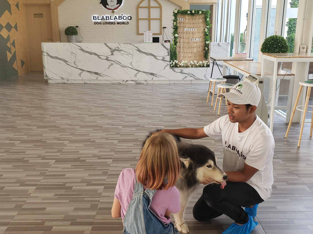BlaBlaBoo - Premium Dog Cafe-挽巴茵必去景点