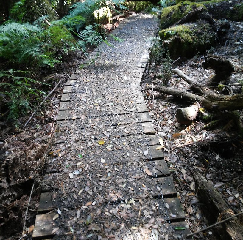 Notley Fern Gorge-Legana必去景点