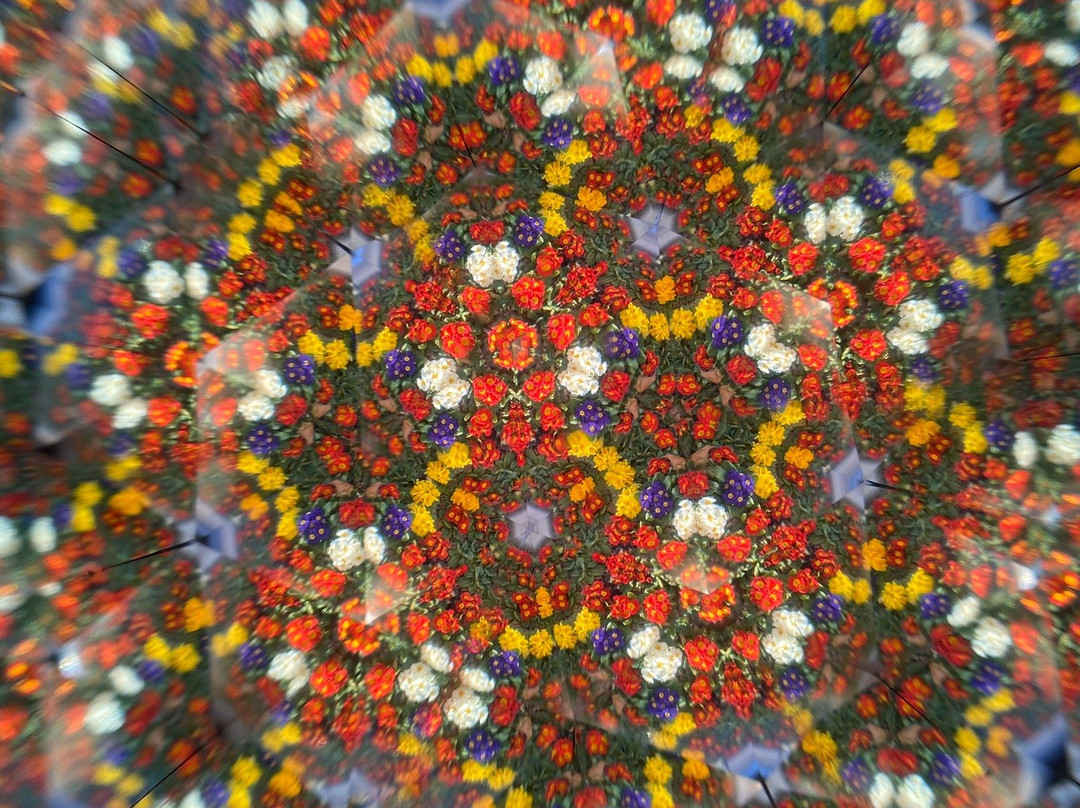 Nelly Bly II-杰罗姆必去景点