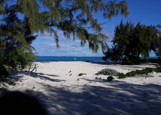 Best Day Tours-普罗维登西亚莱斯必去景点
