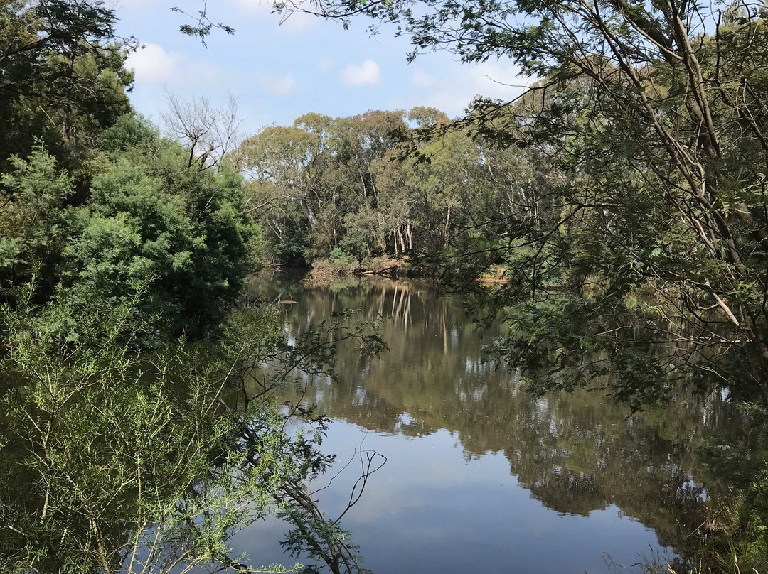 Macalister Wetland Reserve-Maffra必去景点