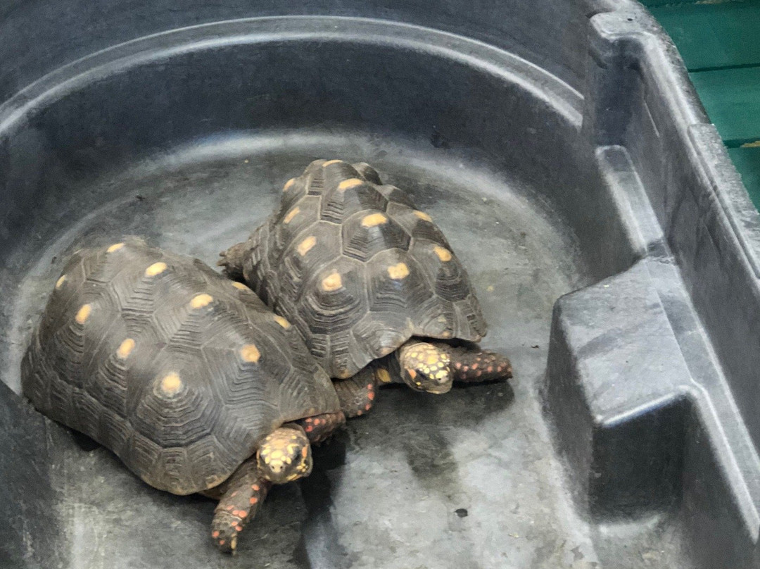 Texas Sealife Center-科珀斯克里斯蒂市必去景点