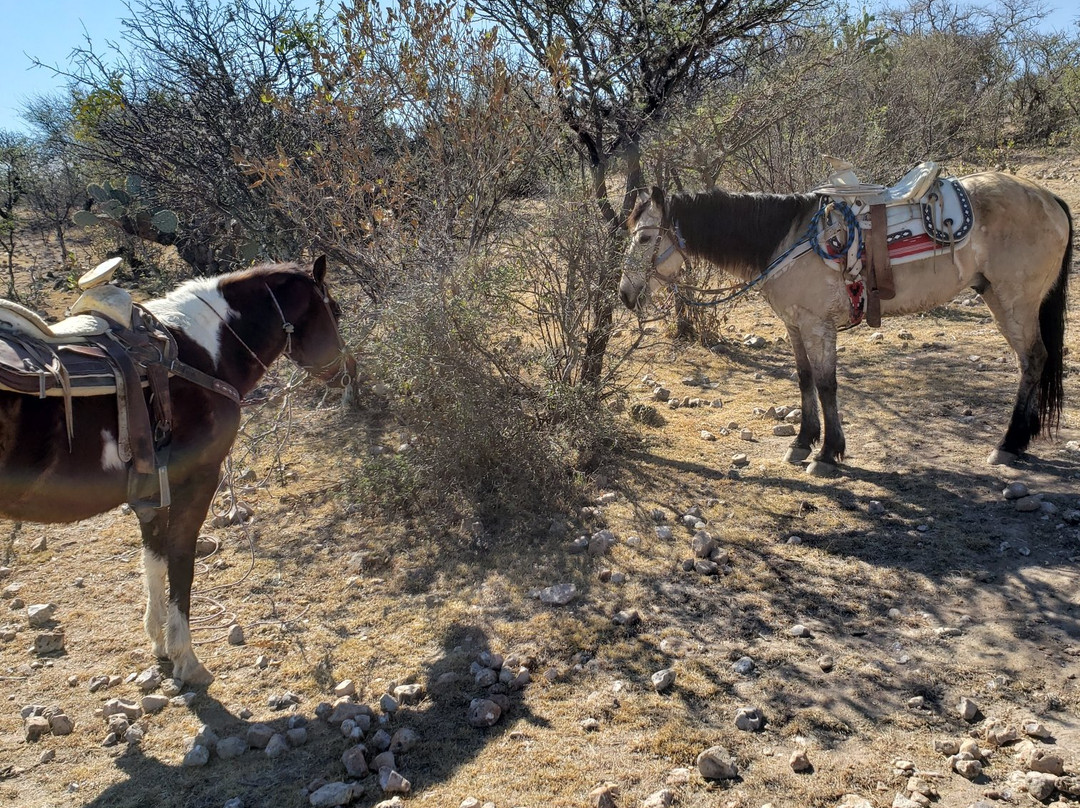 Leisurely Country Horseback Riding-圣米格尔护城必去景点