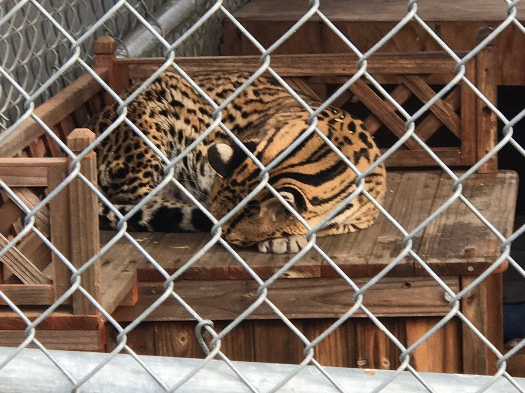 The Barry R. Kirshner Wildlife Foundation景点图片