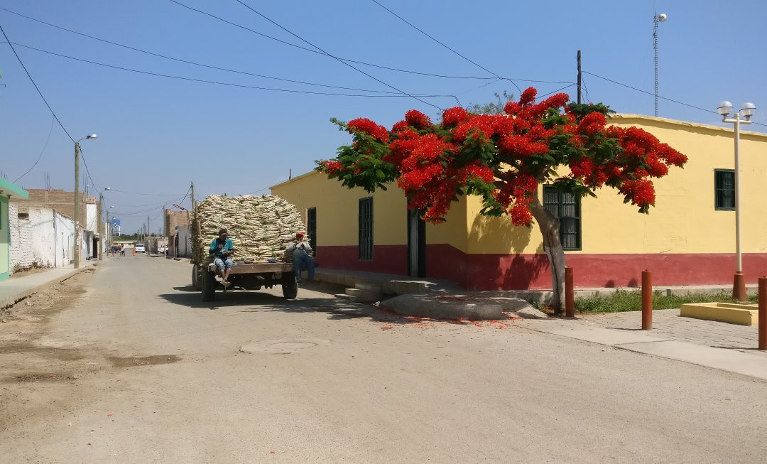 Trw Surfboards-Huanchaco必去景点