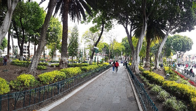 Zócalo de Puebla景点图片
