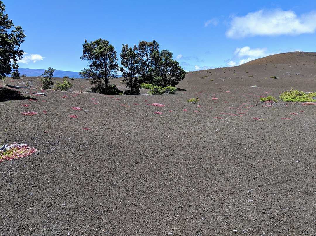 废墟观景路线-夏威夷火山国家公园必去景点