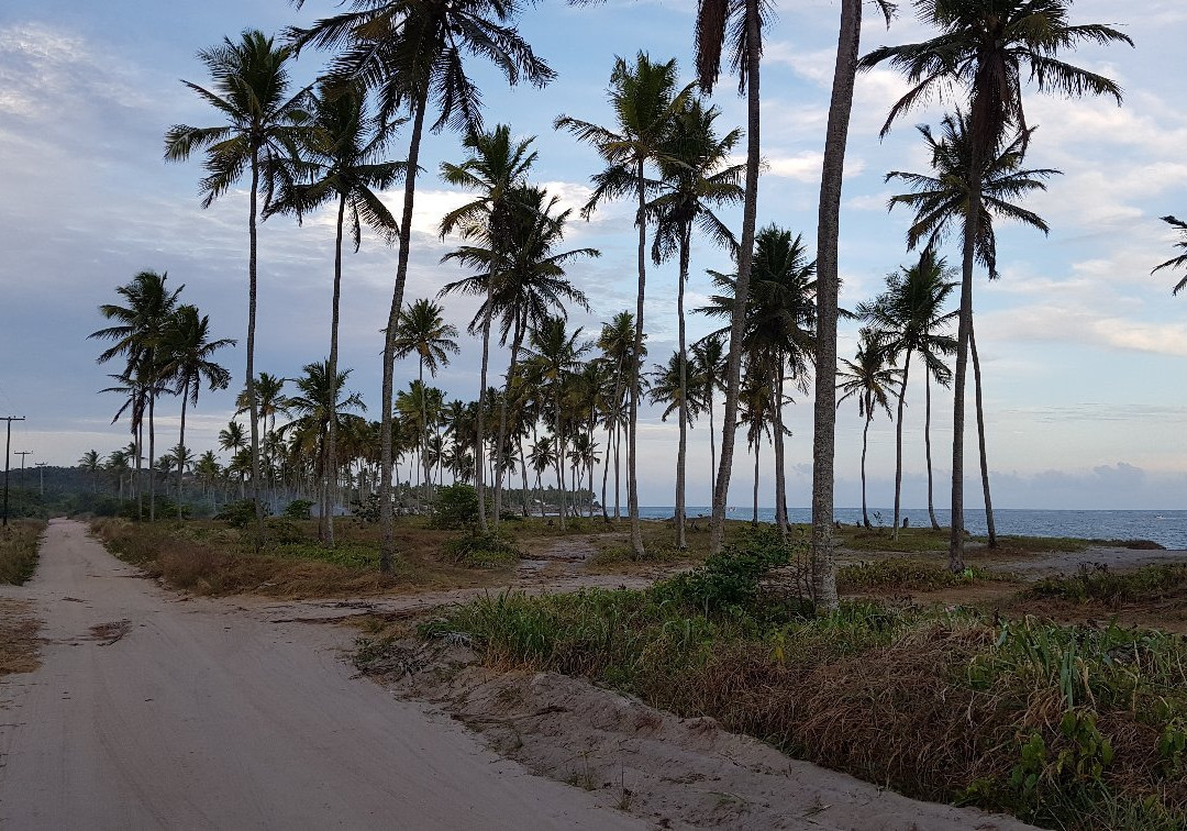 Praia de Guadalupe-Gamela必去景点