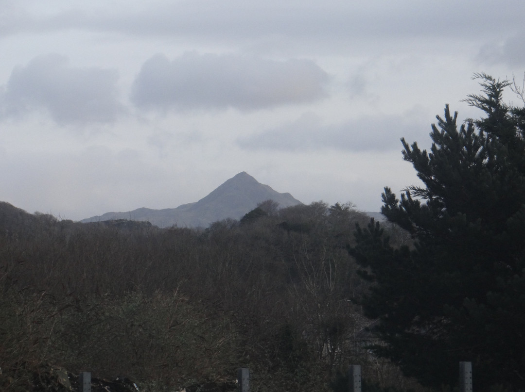 Travelodge Porthmadog Hotel主图