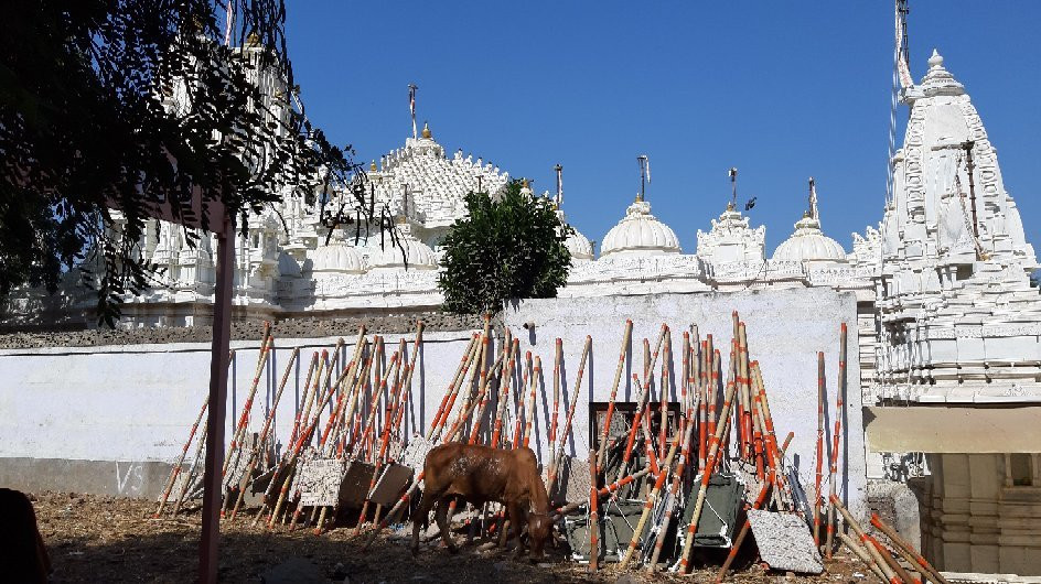 Shatrunjaya Hill Temple景点图片