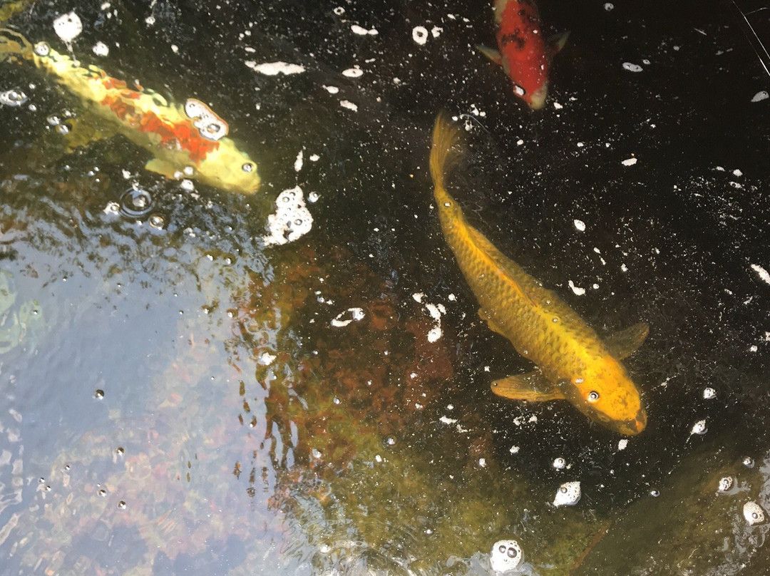 Lory Park景点图片