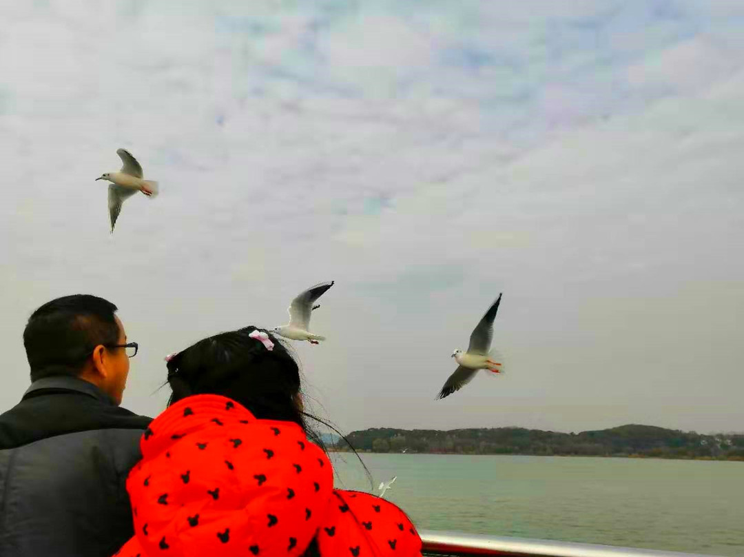 龙头渚公园-无锡市必去景点