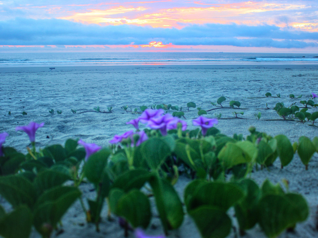 Casa da Ilha do Mel - Pousada de Charme主图