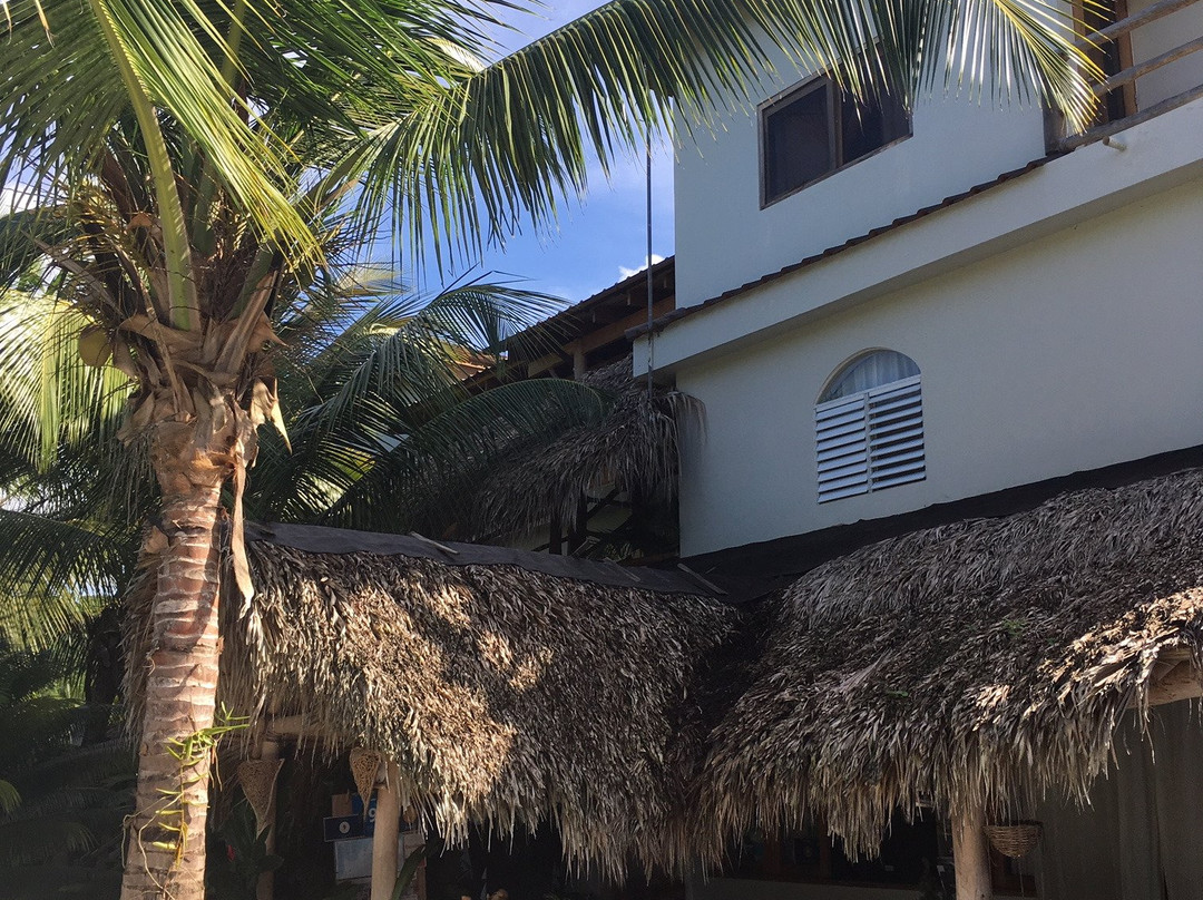 Residencia El Balata主图