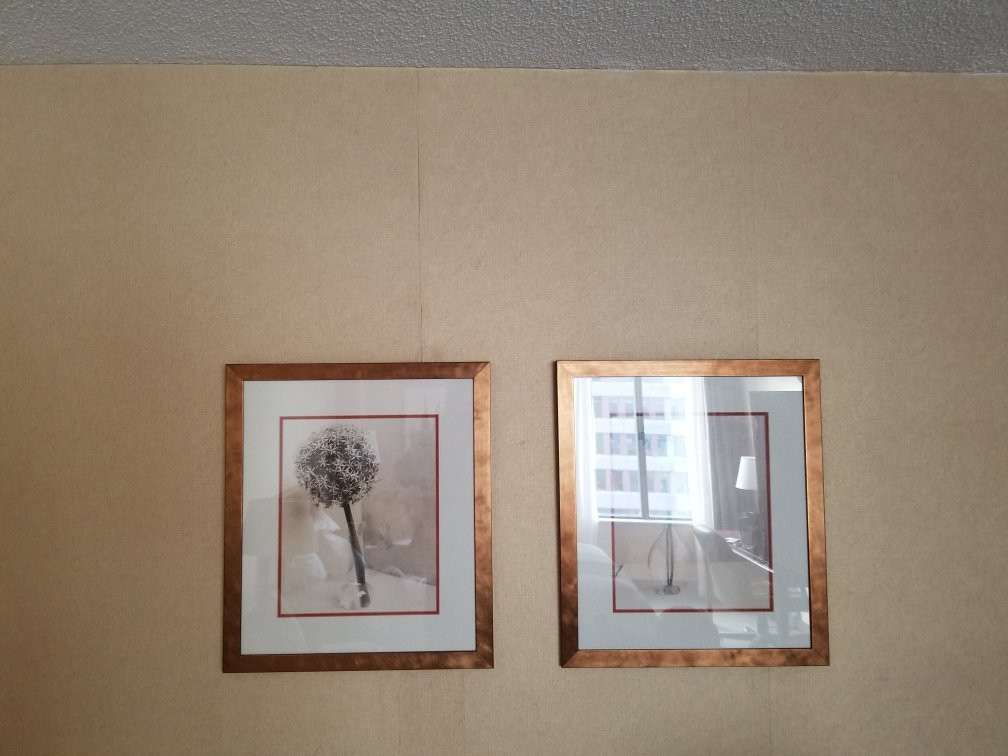 Forrest Beach酒店住宿-Halifax Hotel