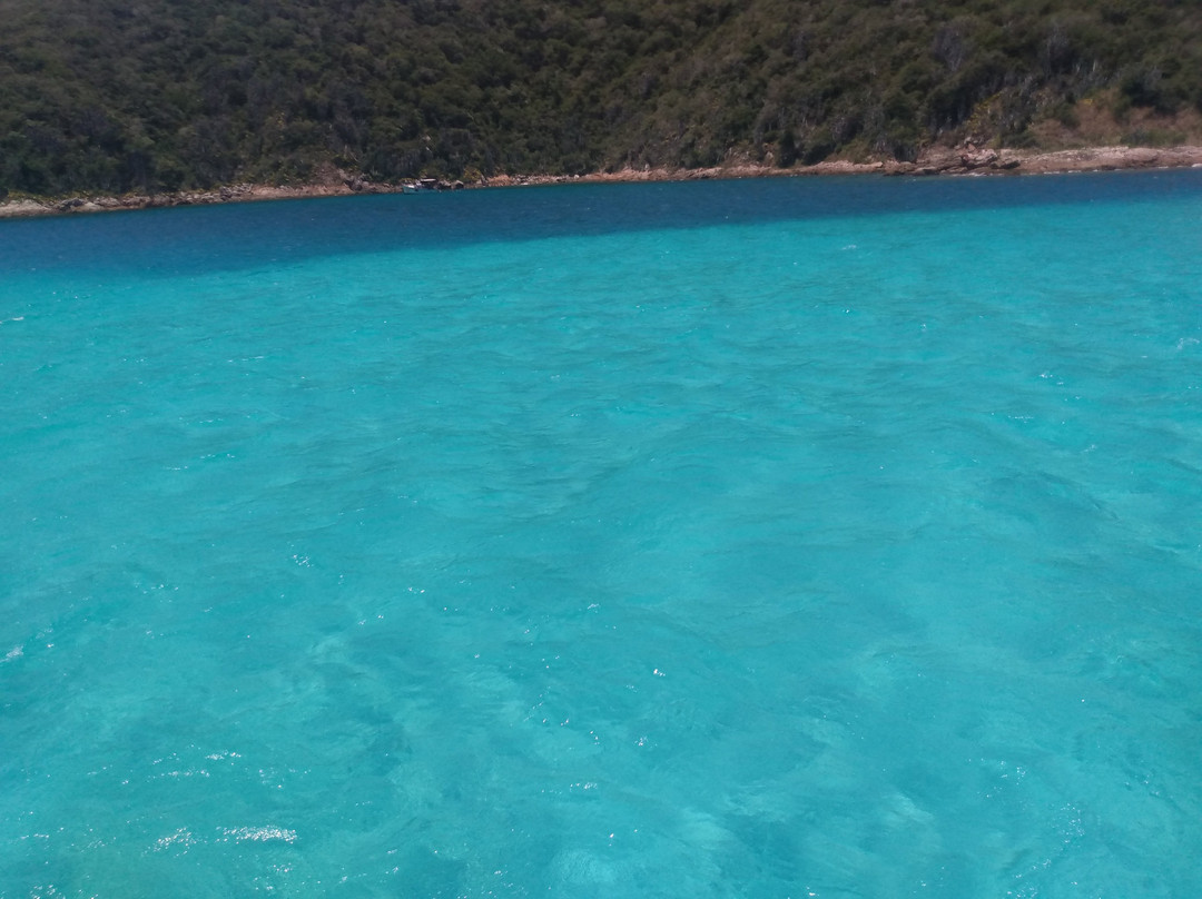 Martins Tour-阿拉伊阿尔港必去景点