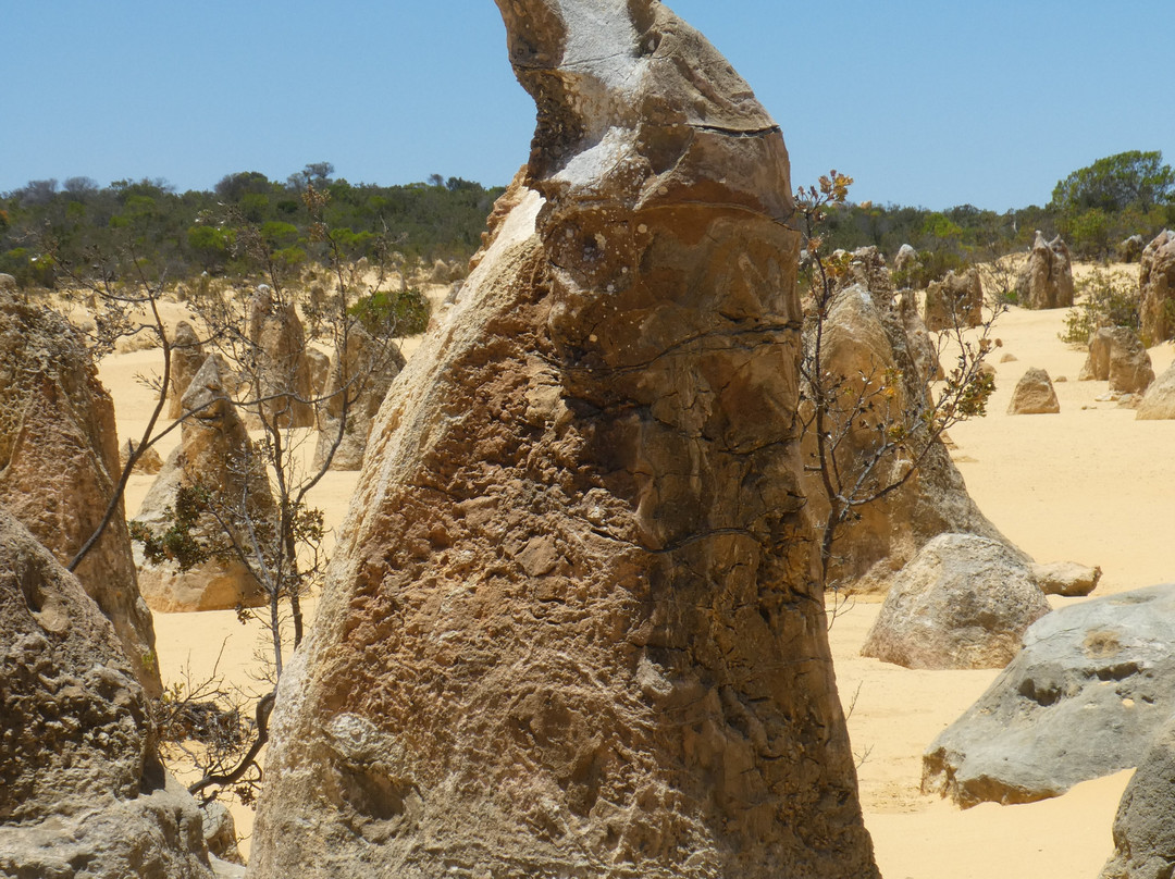Nambung National Park景点图片