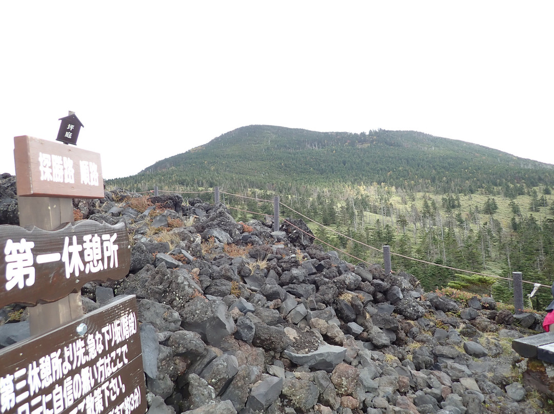 Tsuboniwa Nature Park-茅野市必去景点