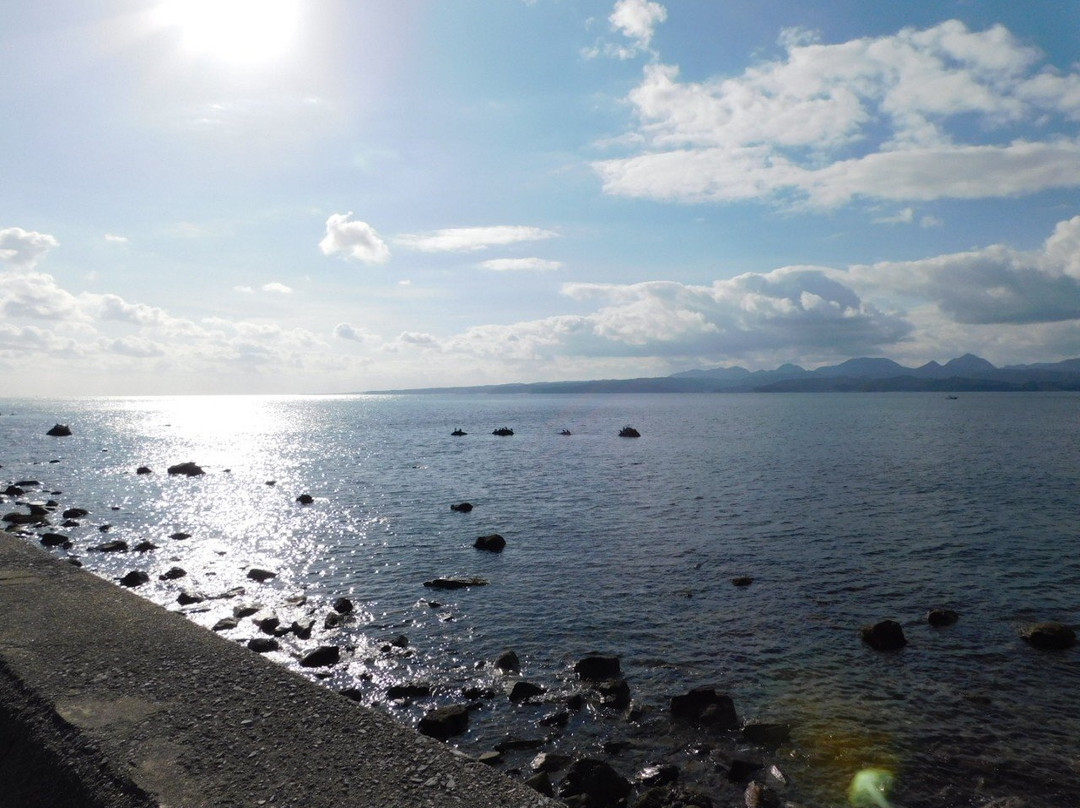 Himeshima Lighthouse景点图片