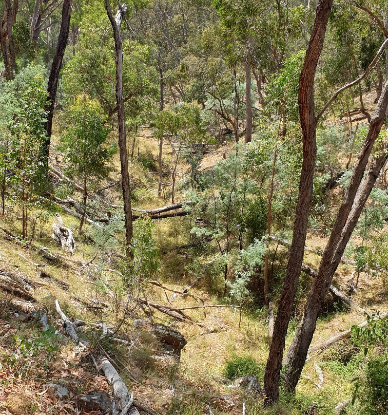 Hepburn Mineral Springs Reserve-Hepburn Springs必去景点