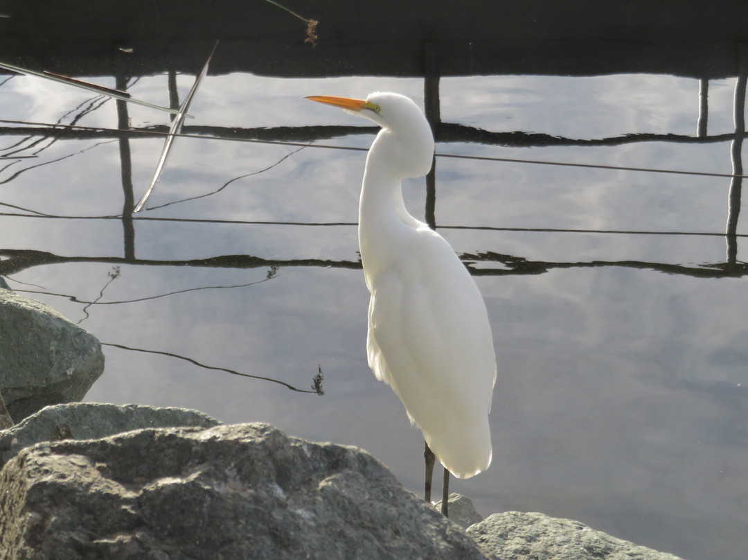 Lake Murray-拉米萨必去景点