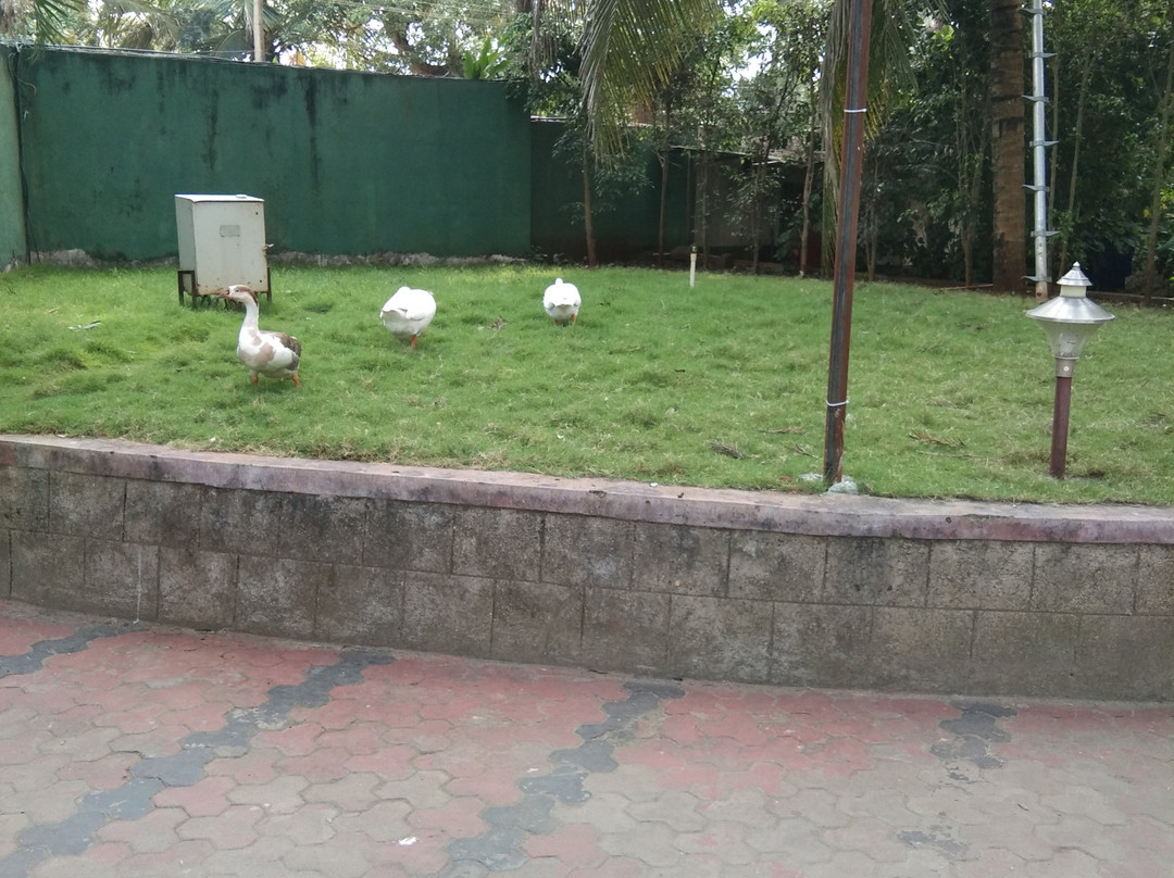 Parampara Resort & Spa主图